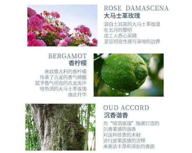 、身体炸划算还有节日限定香薰、香包pg电子中国香香好物丨欧珑正装香水(图9)