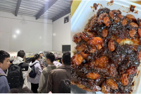 开展“感悟非遗匠心·传承千年文脉”主题调研活动pg电子模拟器试玩杨凌非遗协会与钱学森书院携手(图1)